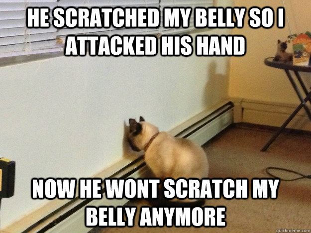 He scratched my belly so I attacked his hand Now he wont scratch my belly anymore - He scratched my belly so I attacked his hand Now he wont scratch my belly anymore  Regretful Cat