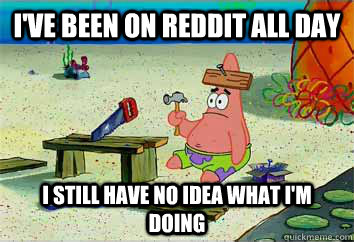 I've been on reddit all day I still have no idea what i'm doing - I've been on reddit all day I still have no idea what i'm doing  I have no idea what Im doing - Patrick Star