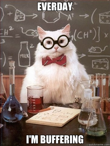 EVERDAY I'M BUFFERING - EVERDAY I'M BUFFERING  Chemistry Cat