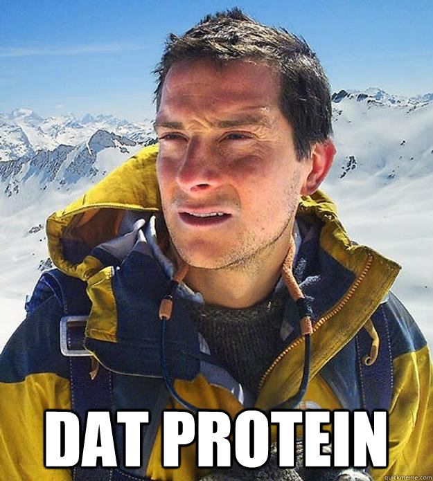  Dat protein -  Dat protein  Best size bear grylls meme