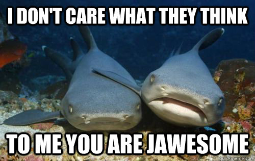 I don't care what they think to me you are jawesome  Compassionate Shark Friend