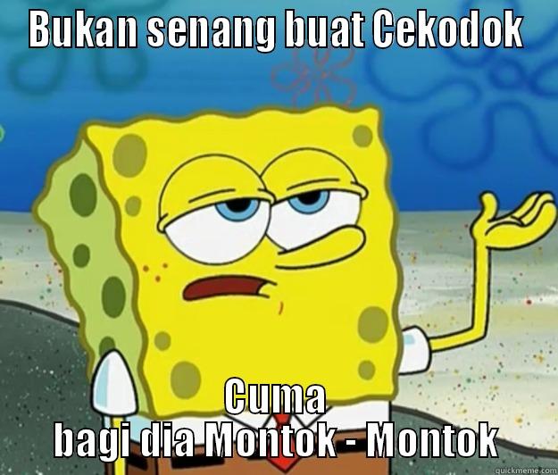 BUKAN SENANG BUAT CEKODOK CUMA BAGI DIA MONTOK - MONTOK Tough Spongebob