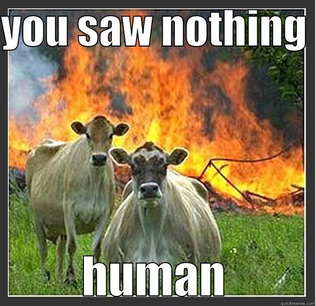 YOU SAW NOTHING  HUMAN Evil cows