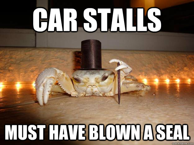 Car Stalls must have blown a seal  Fancy Crab