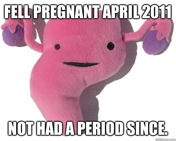 Fell pregnant April 2011 Not had a period since.   Good Guy Uterus