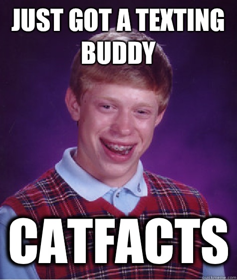 Just got a texting buddy Catfacts - Just got a texting buddy Catfacts  Bad Luck Brian