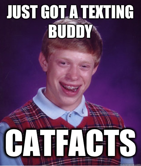 Just got a texting buddy Catfacts  Bad Luck Brian