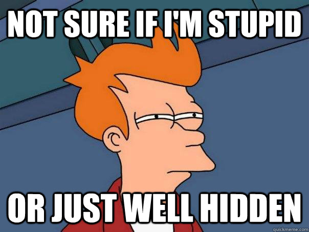Not sure if I'm stupid Or just well hidden - Not sure if I'm stupid Or just well hidden  Misc