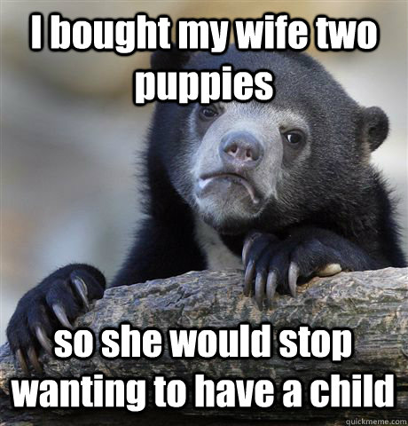 I bought my wife two puppies so she would stop wanting to have a child  Confession Bear