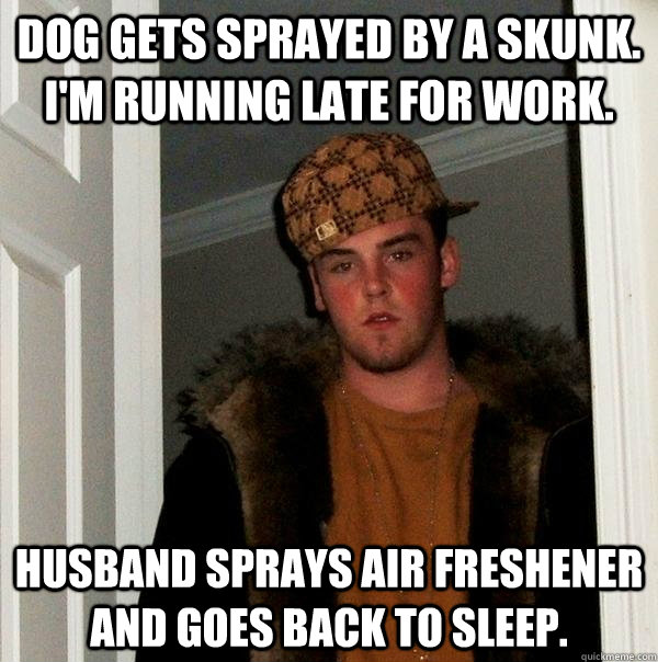 Dog gets sprayed by a skunk. I'm running late for work. Husband sprays air freshener and goes back to sleep. - Dog gets sprayed by a skunk. I'm running late for work. Husband sprays air freshener and goes back to sleep.  Scumbag Steve