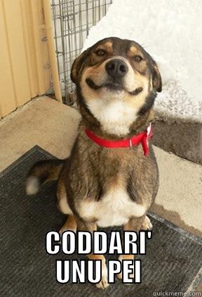  CODDARI' UNU PEI Good Dog Greg