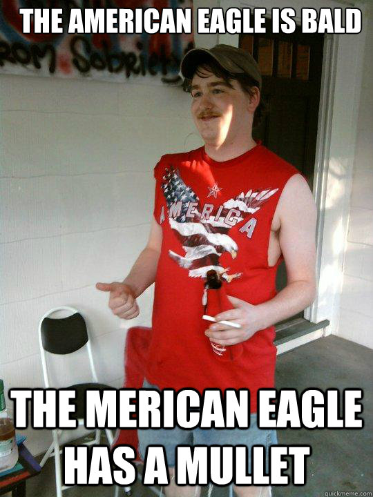 the american eagle is bald the merican eagle has a mullet  Redneck Randal