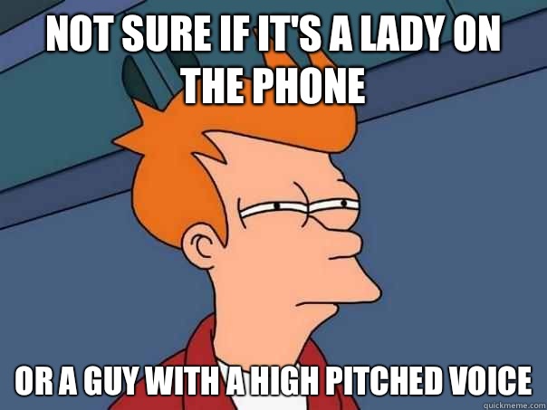 Not sure if it's a lady on the phone Or a guy with a high pitched voice  Futurama Fry