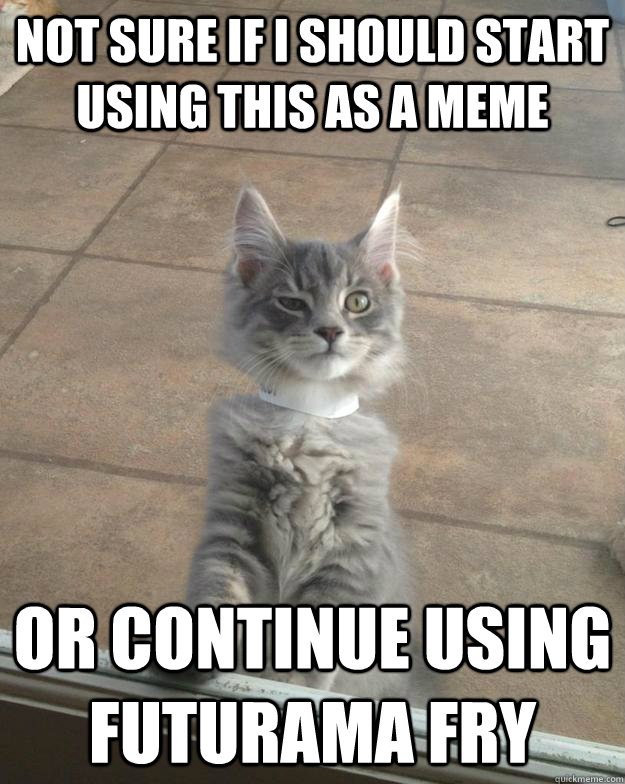 Not sure if i should start using this as a meme Or continue using Futurama Fry - Not sure if i should start using this as a meme Or continue using Futurama Fry  Skeptical Kitten