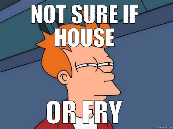 NOT SURE IF HOUSE OR FRY Futurama Fry