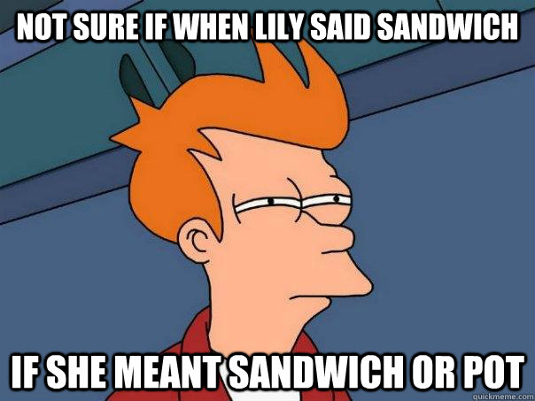 NOT sure if When lily said sandwich If she meant sandwich or pot - NOT sure if When lily said sandwich If she meant sandwich or pot  Futurama Fry
