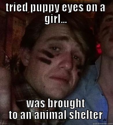 TRIED PUPPY EYES ON A GIRL... WAS BROUGHT TO AN ANIMAL SHELTER Misc