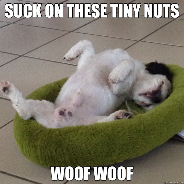 SUCK ON THESE TINY NUTS WOOF WOOF  spread eagle dog