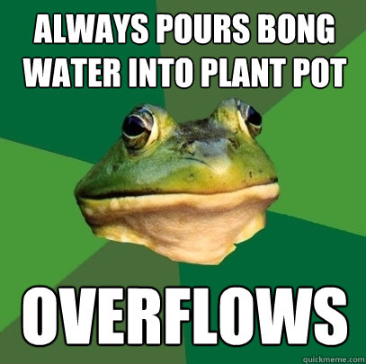 Always pours bong water into plant pot overflows  Foul Bachelor Frog