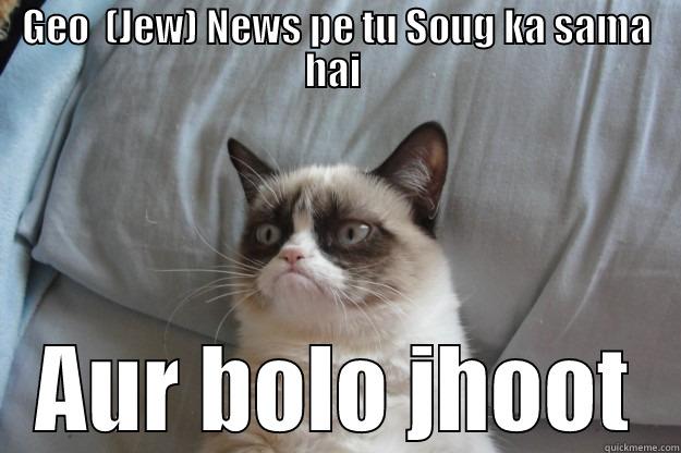 geo news lol  - GEO  (JEW) NEWS PE TU SOUG KA SAMA HAI  AUR BOLO JHOOT Grumpy Cat