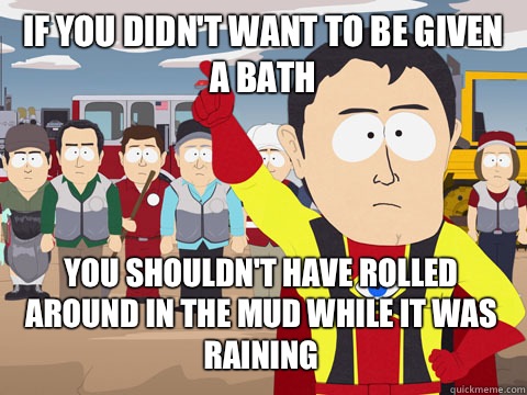 If you didn't want to be given a bath you shouldn't have rolled around in the mud while it was raining  Captain Hindsight