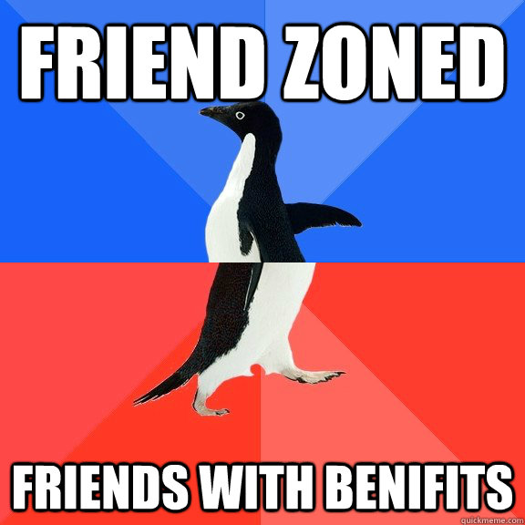 Friend zoned Friends with benifits - Friend zoned Friends with benifits  Socially Awkward Awesome Penguin