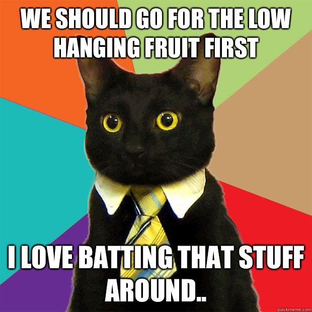 We should go for the low hanging fruit first I love batting that stuff around..  Business Cat