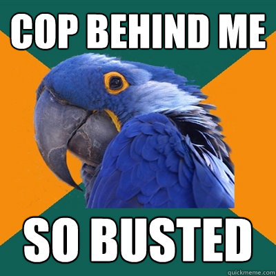 cop behind me so busted  Paranoid Parrot