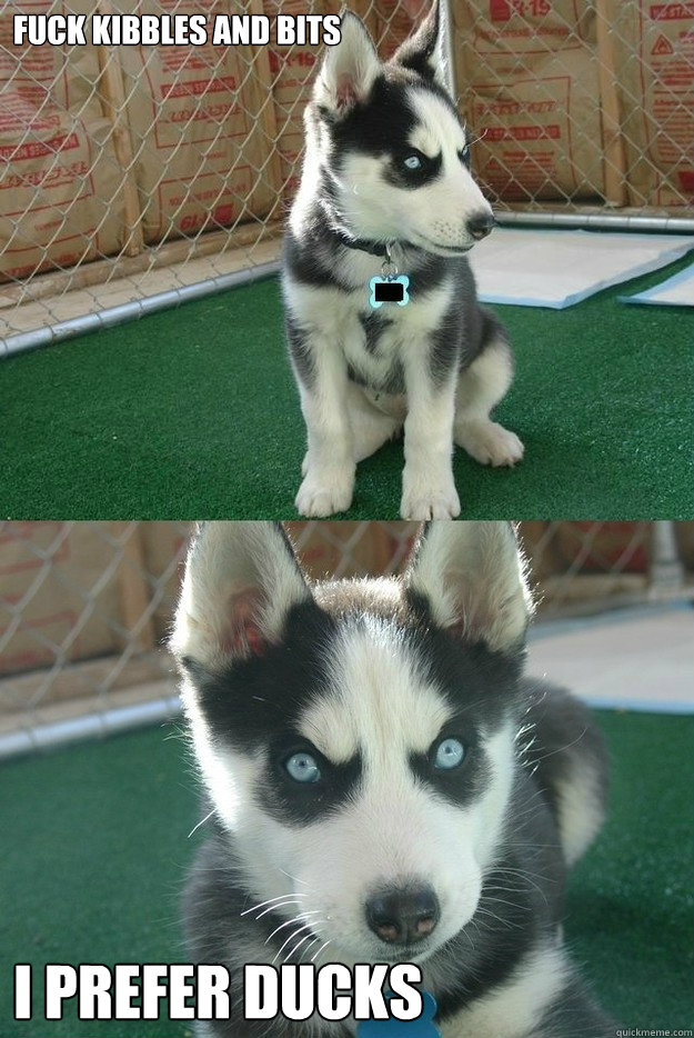 Fuck kibbles and bits i prefer ducks  Insanity puppy