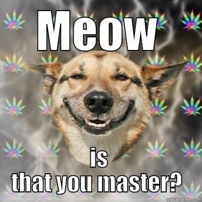 MEOW IS THAT YOU MASTER?  Stoner Dog
