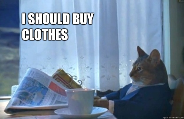 I should buy clothes  Sophisticated Cat