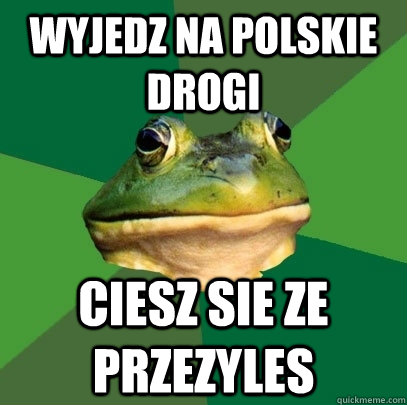 wyjedz na polskie drogi ciesz sie ze przezyles  Foul Bachelor Frog