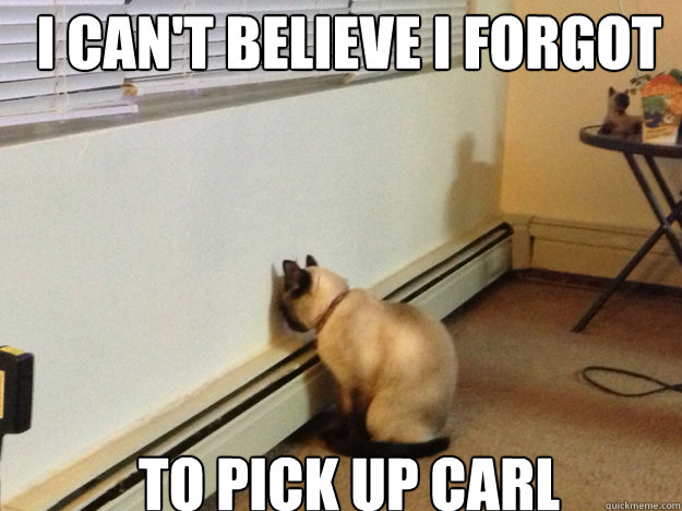 I can't believe I forgot  to Pick up carl  