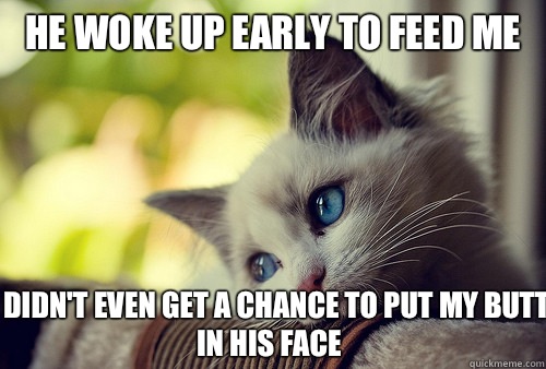 He woke up early to feed me I didn't even get a chance to put my butt in his face  First World Problems Cat