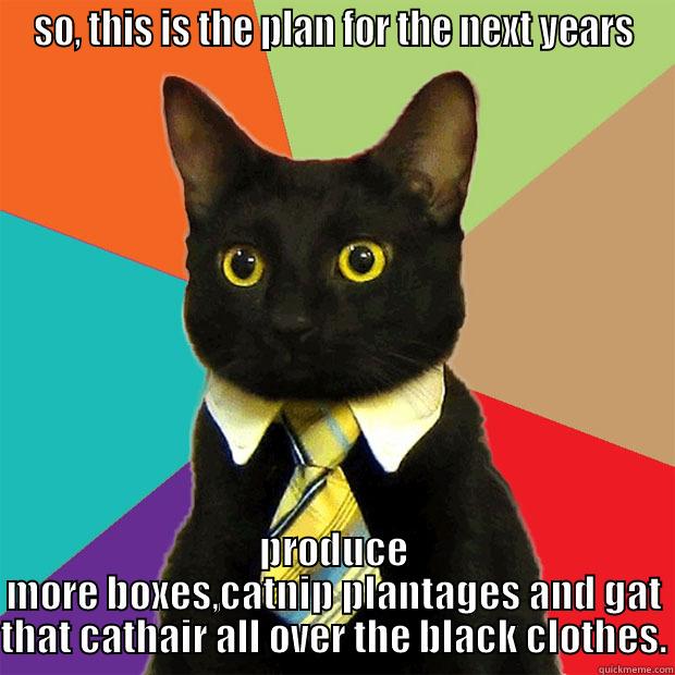 SO, THIS IS THE PLAN FOR THE NEXT YEARS PRODUCE MORE BOXES,CATNIP PLANTAGES AND GAT THAT CATHAIR ALL OVER THE BLACK CLOTHES. Business Cat
