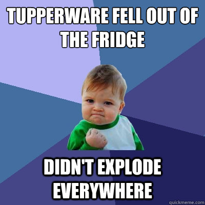 Tupperware Fell out of the fridge didn't explode everywhere  Success Kid