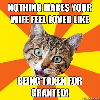Nothing makes your wife feel loved like being taken for granted!  Bad Advice Cat