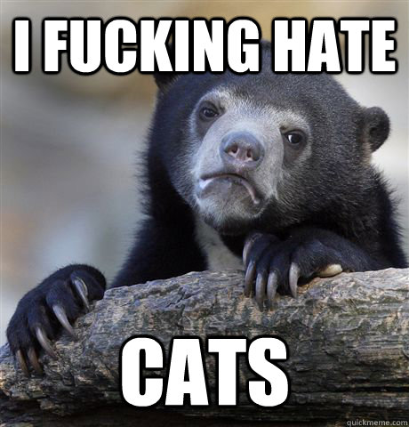 i fucking hate cats - i fucking hate cats  Confession Bear