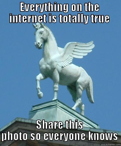 EVERYTHING ON THE INTERNET IS TOTALLY TRUE SHARE THIS PHOTO SO EVERYONE KNOWS Misc