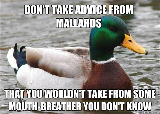 don't take advice from mallards that you wouldn't take from some mouth-breather you don't know  Actual Advice Mallard