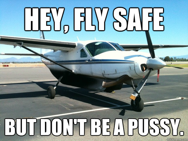 hey, fly safe But don't be a pussy. - hey, fly safe But don't be a pussy.  freight dog