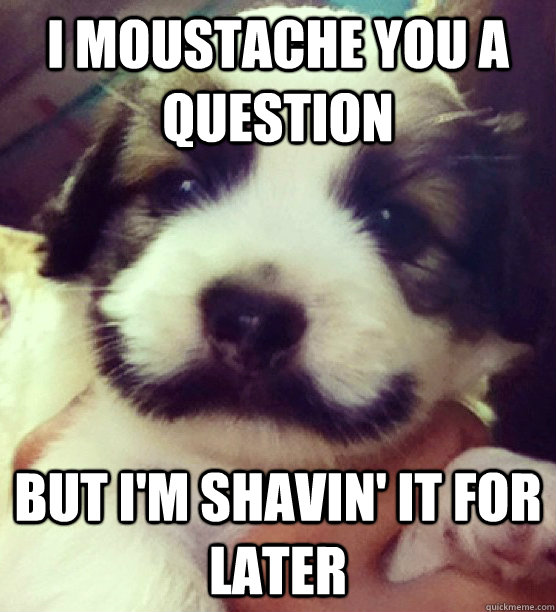i moustache you a question but I'm shavin' it for later - i moustache you a question but I'm shavin' it for later  Mo Dog