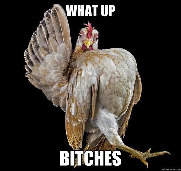 What up bitches - What up bitches  whatupbitches