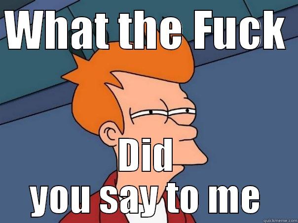 WHAT THE FUCK  DID YOU SAY TO ME Futurama Fry