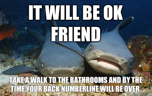 It will be ok friend Take a walk to the bathrooms and by the time your back numberline will be over.  Compassionate Shark Friend
