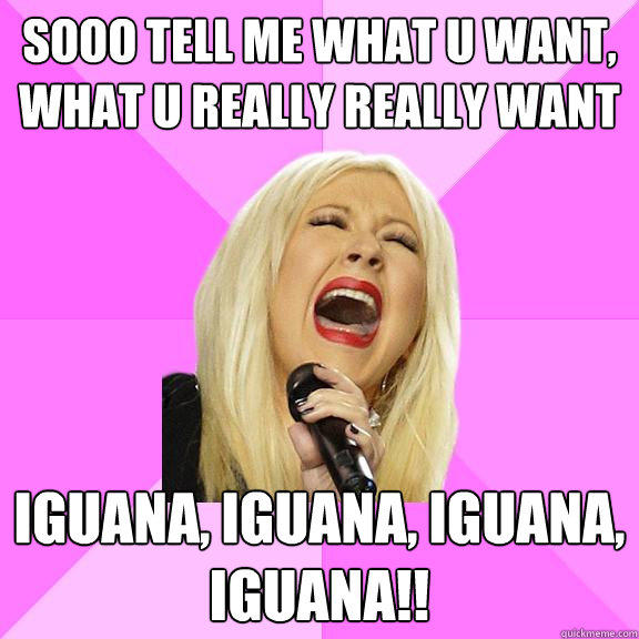 sooo tell me what u want, what u really really want iguana, iguana, iguana, iguana!!  Wrong Lyrics Christina