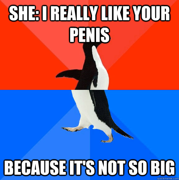 She: I really like your penis because it's not so big   Socially Awesome Awkward Penguin