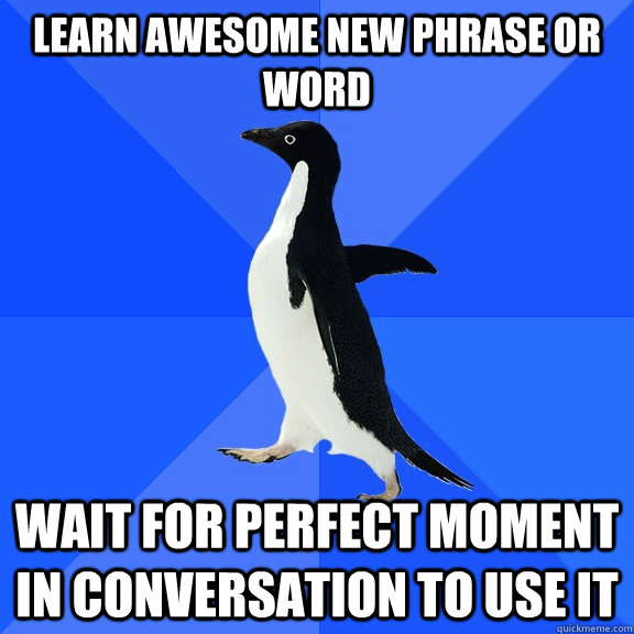 Learn awesome new phrase or word wait for perfect moment in conversation to use it  Socially Awkward Penguin