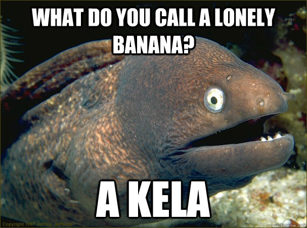 what do you call a lonely banana? a kela  Bad Joke Eel