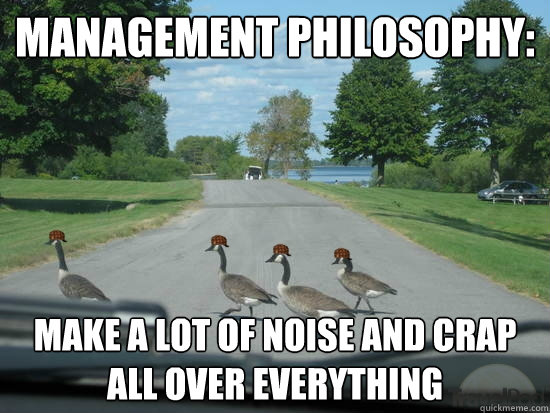 management philosophy: make a lot of noise and crap all over everything  Scumbag Geese